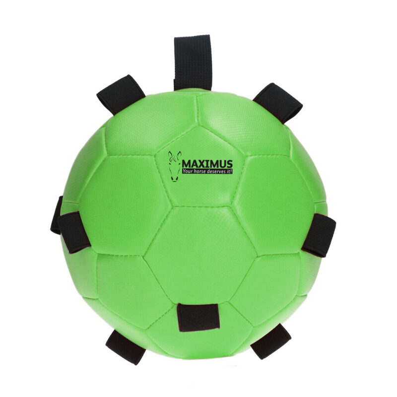 Maximus Fun Play Ball Green